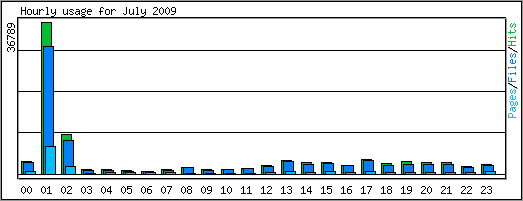 Hourly usage