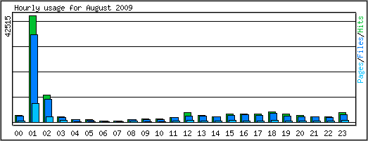 Hourly usage