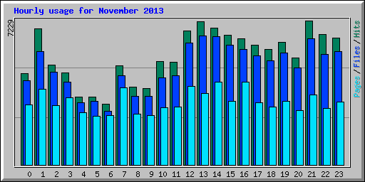 Hourly usage for November 2013