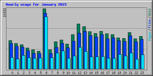 Hourly usage for January 2015